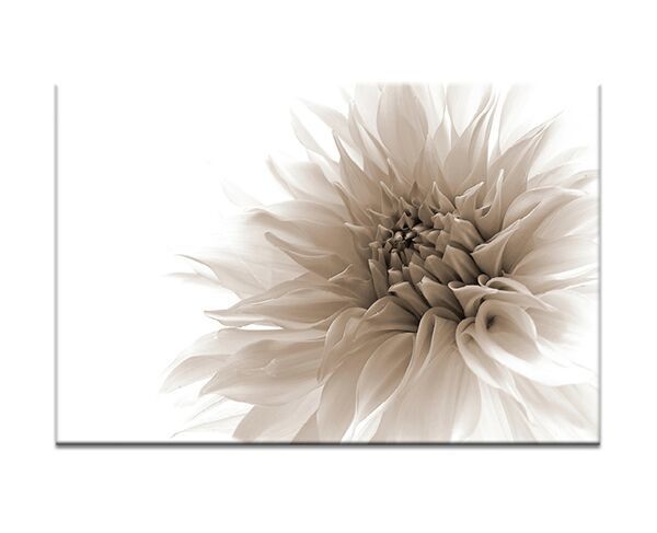 'Dignified' Wall Art